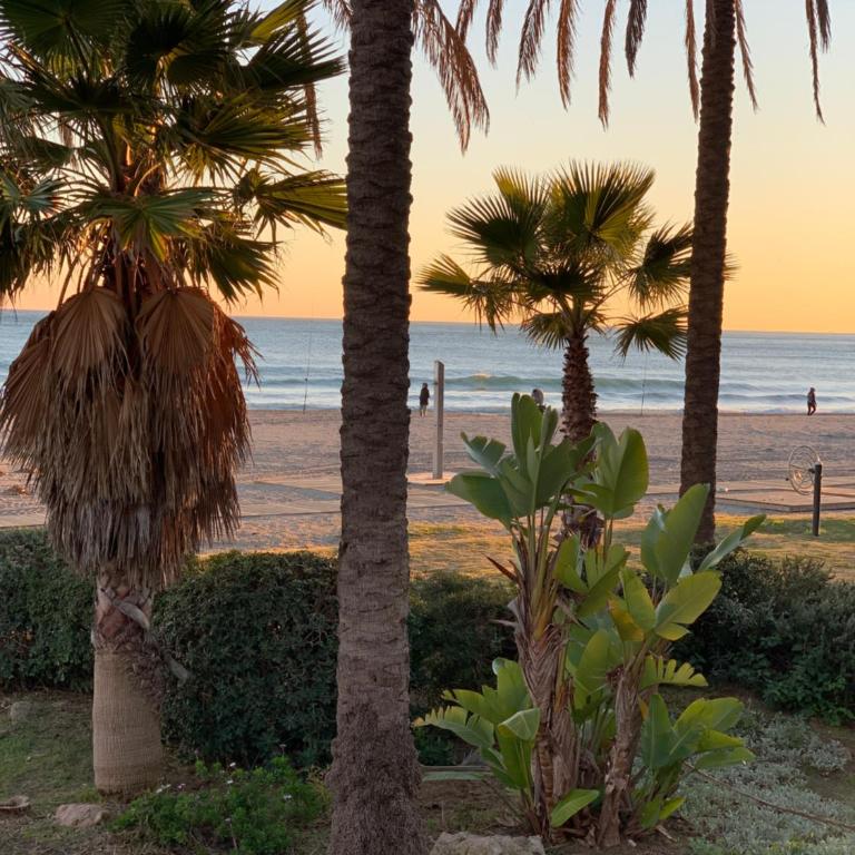 Beachfront Penthouse with Huge Terrace & Panoramic Sea and Mountainviews - Appartamento con 2 Camere da Letto, Terrazza e Vista Mare - 27
