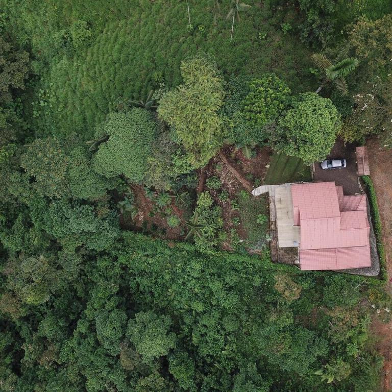 Beautiful house surrounded by nature to relax - Four-Bedroom House - 3