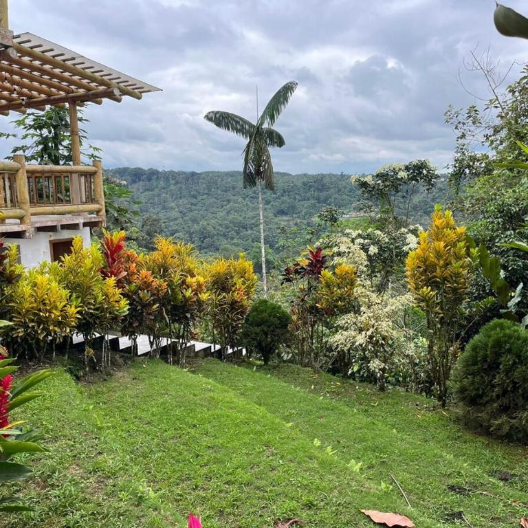 Beautiful house surrounded by nature to relax - Four-Bedroom House - 17