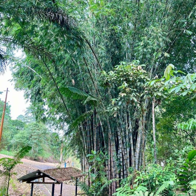 Beautiful house surrounded by nature to relax - Four-Bedroom House - 20
