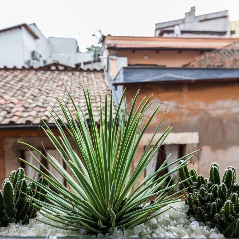 Endless beauty - Charming attic in the heart of Rome - Appartamento - 33