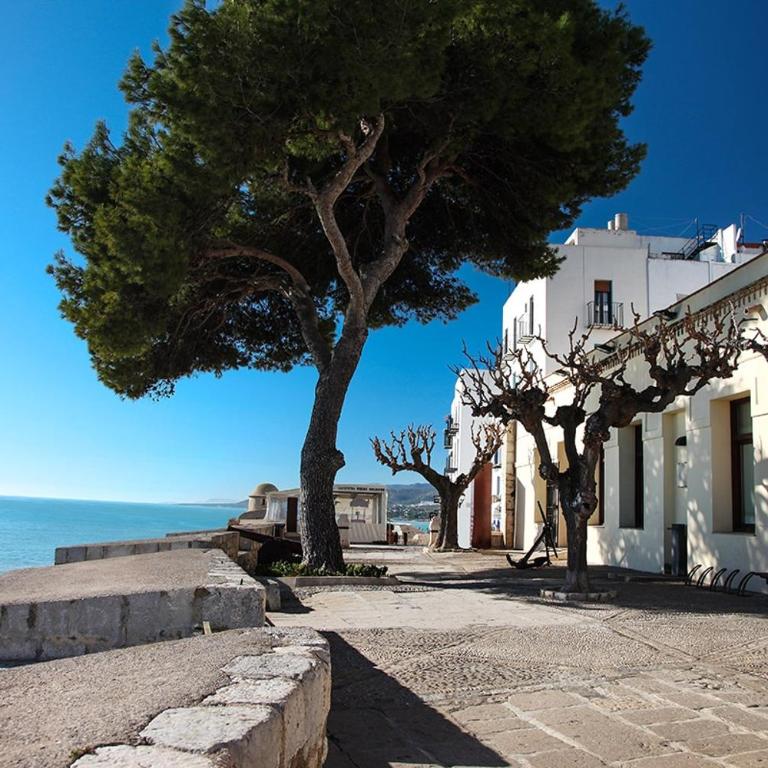 MIRAMAR SIERRA Perla Blanca - Apartamento de 2 dormitorios - 4