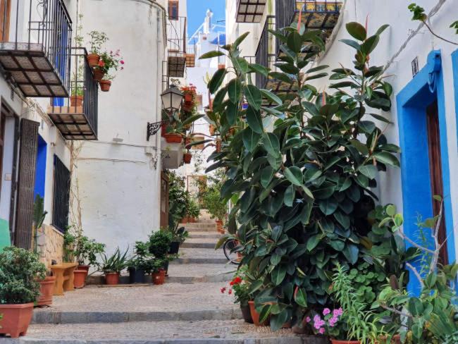MIRAMAR SIERRA Perla Blanca - Apartamento de 2 dormitorios - 30
