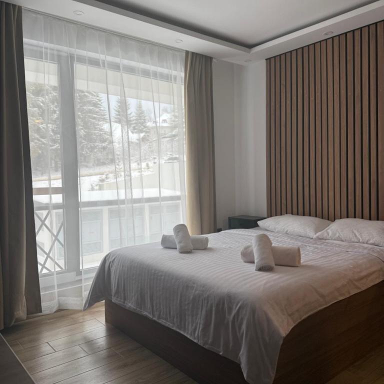Sophie & Sarah Apartments - Residence Hill, Kopaonik - Apartman sa 1 Spavaćom Sobom - 2
