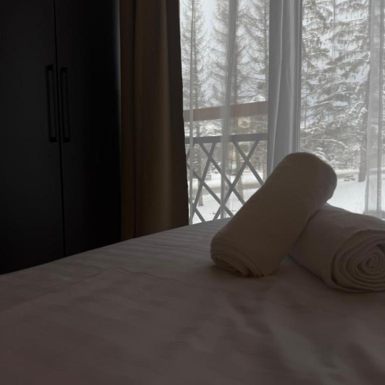 Sophie & Sarah Apartments - Residence Hill, Kopaonik - Apartman sa 1 Spavaćom Sobom - 7