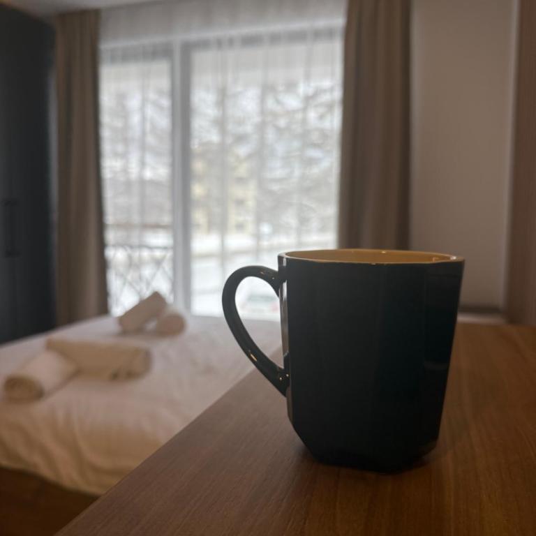 Sophie & Sarah Apartments - Residence Hill, Kopaonik - Apartman sa 1 Spavaćom Sobom - 10