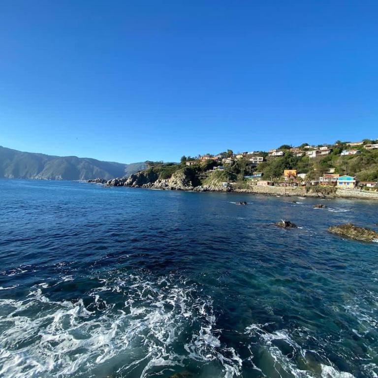 BUHO Cabin Dormitory Parking Wifi - One-Bedroom Cottage - 17