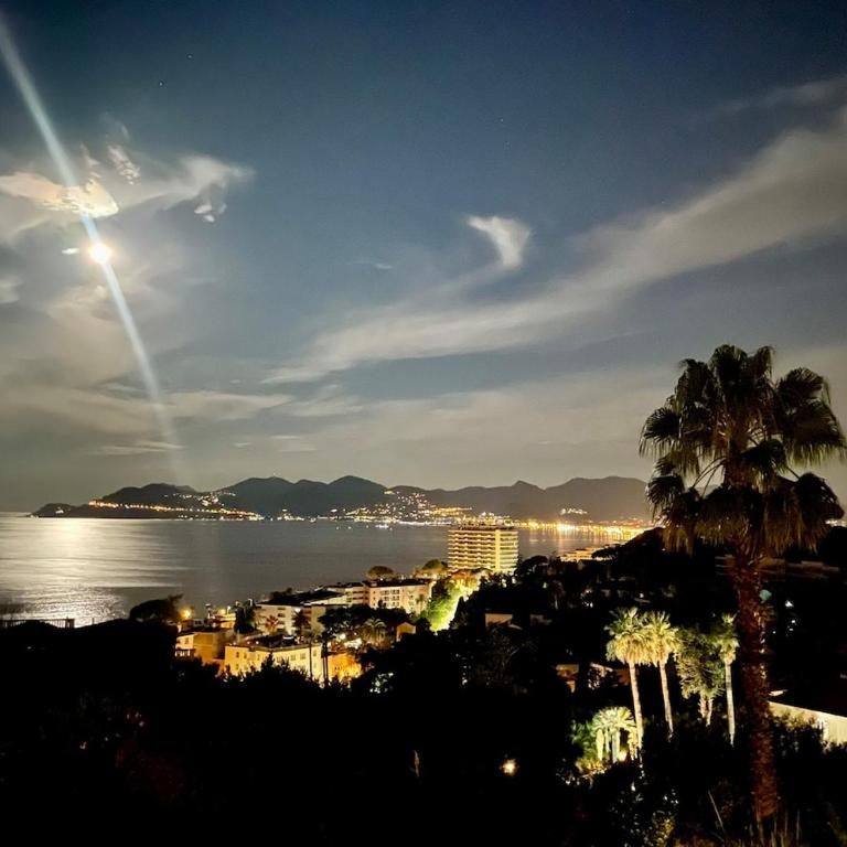 Splendid view Apartment in Cannes - Apartment mit 2 Schlafzimmern - 39