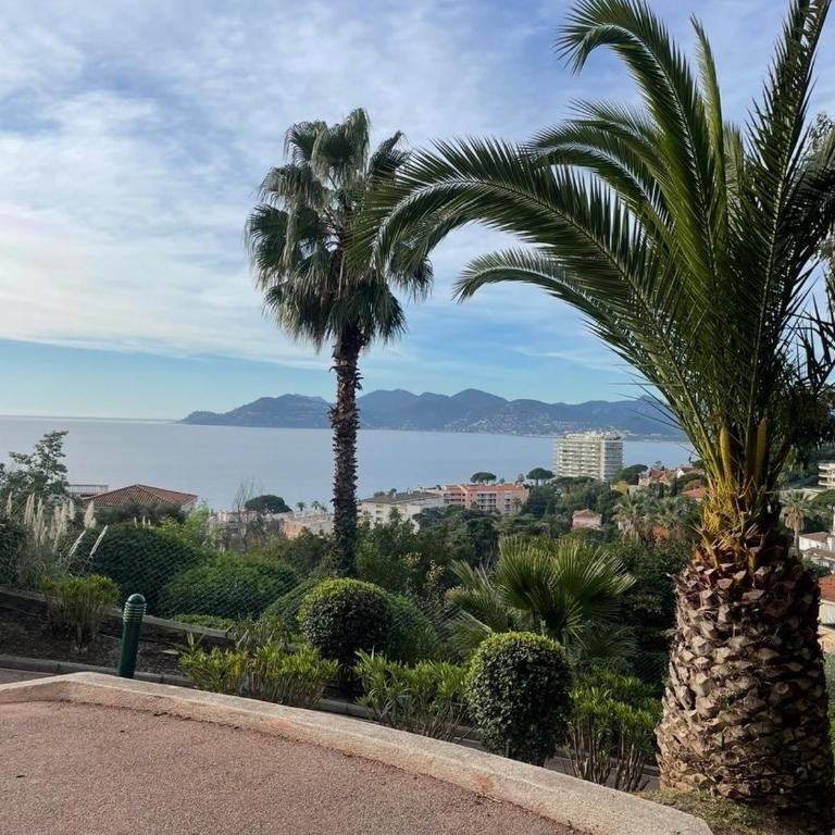 Splendid view Apartment in Cannes - Apartment mit 2 Schlafzimmern - 37