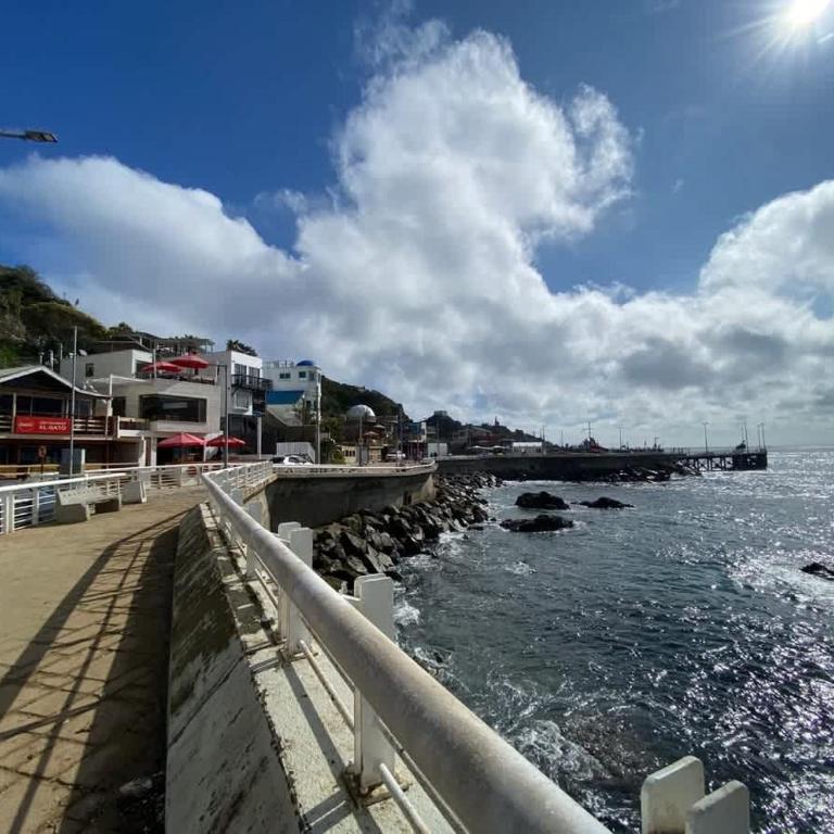 BUHO Classic Cabin BBQ Kitchen Parking Pet - Cabaña de 1 dormitorio - 11