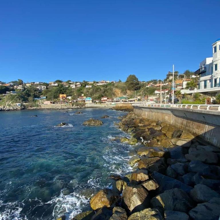 BUHO Studio Cabin BBQ Kitchen Parking Pet - Cabaña de 1 dormitorio - 19