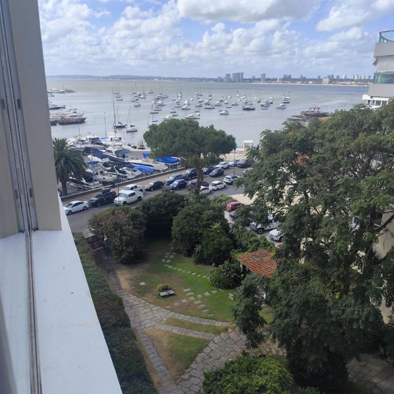 Hermoso y bien ubicado - Apartamento de 3 dormitorios - 11