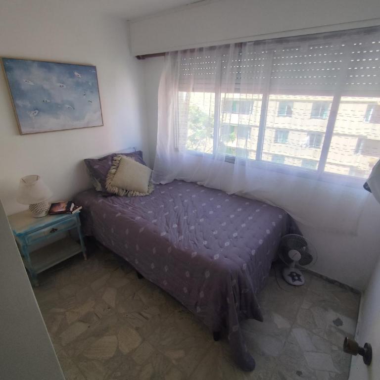 Hermoso y bien ubicado - Apartamento de 3 dormitorios - 14