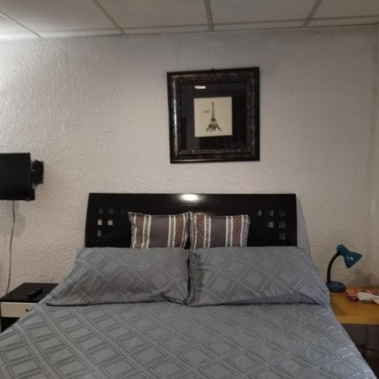 Suite Vista Reforma - Suite Executive - 13