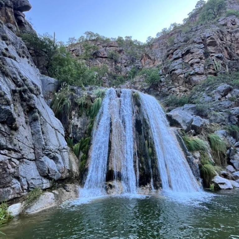 Norita - Apartamento de 1 dormitorio - 12