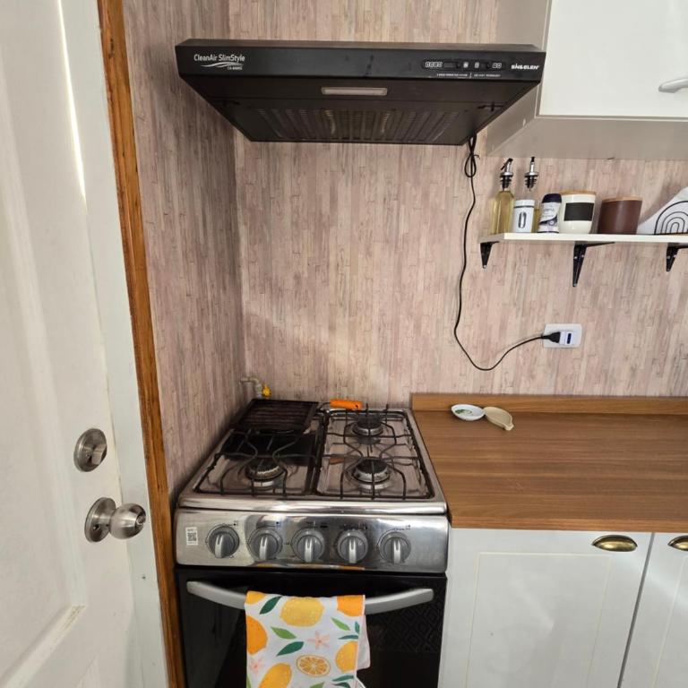 Cabaña Altos de Frutillar - Two-Bedroom House - 6