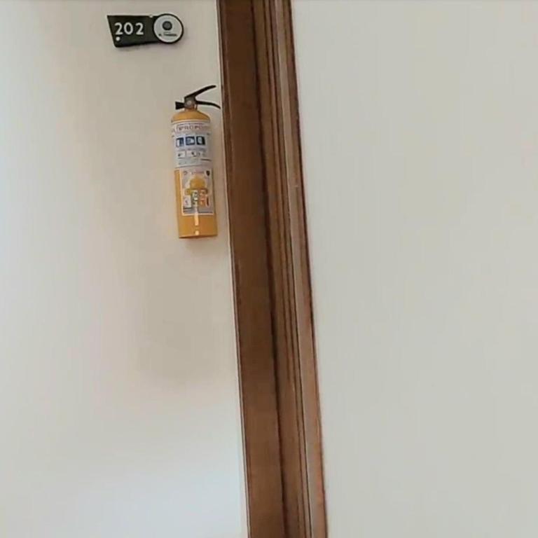 Apartment 202 Garden Shelter - 10 min to Balandú Park - Apartment - 29