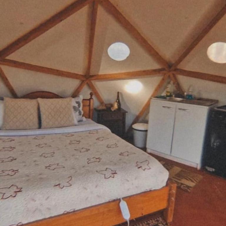 Ecoglamping Nahuelbuta - Tent - 7