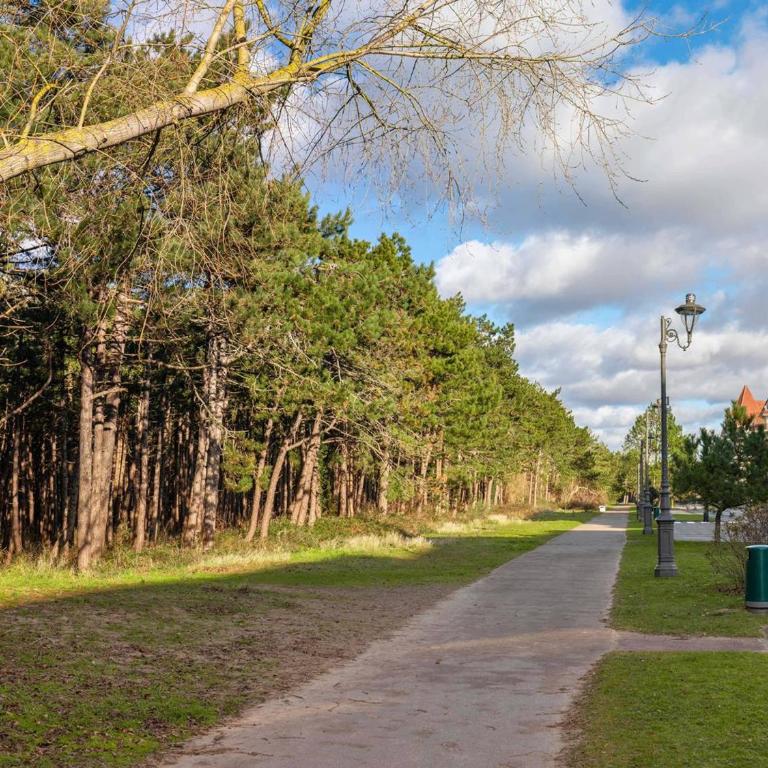 Appartement central Le Touquet - Animaux et Wifi - FR-1-821-51 - Appartamento - 11