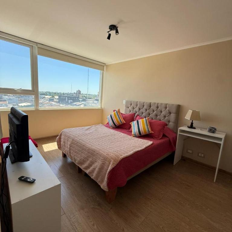 Sembrador - Apartamento de 1 dormitorio - 5
