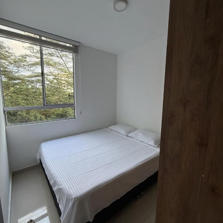 Apto Moderno con Vista a la Reserva - Two-Bedroom Apartment - 3