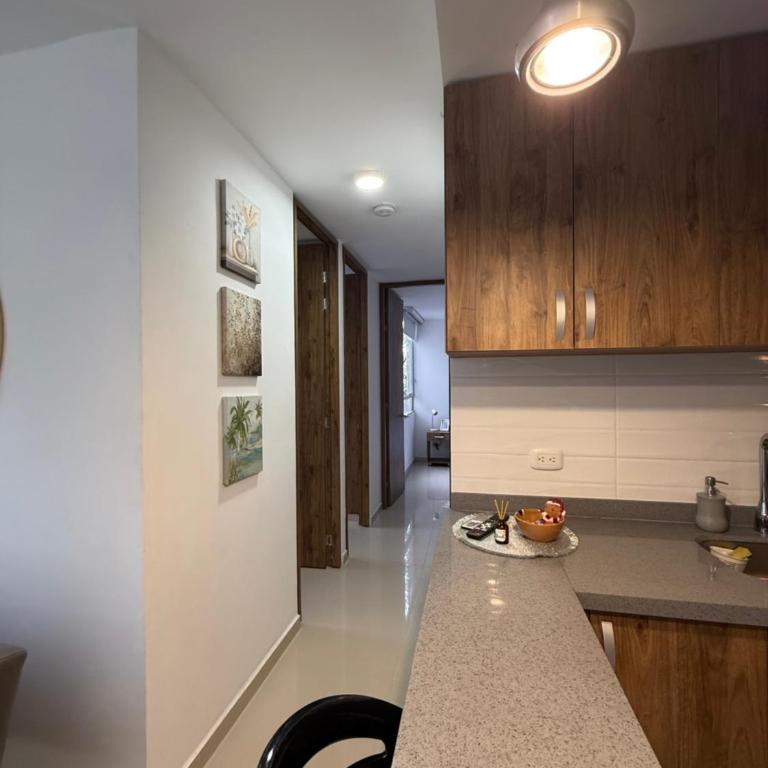 Apto Moderno con Vista a la Reserva - Two-Bedroom Apartment - 7