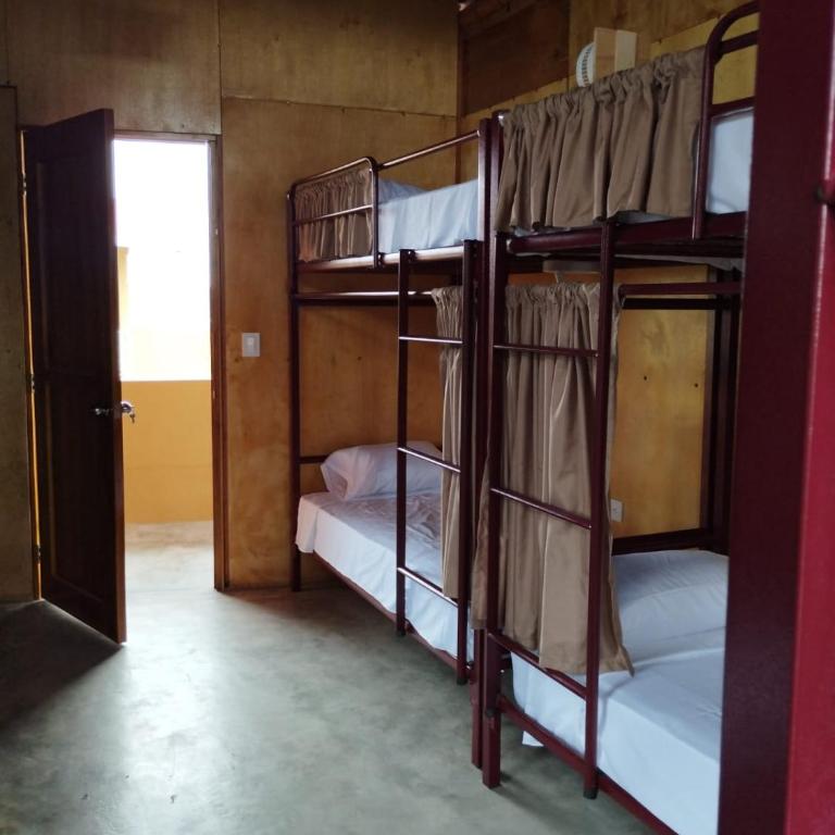 Monte Olon - Single Bed in 10-Bed Dormitory Room - 1