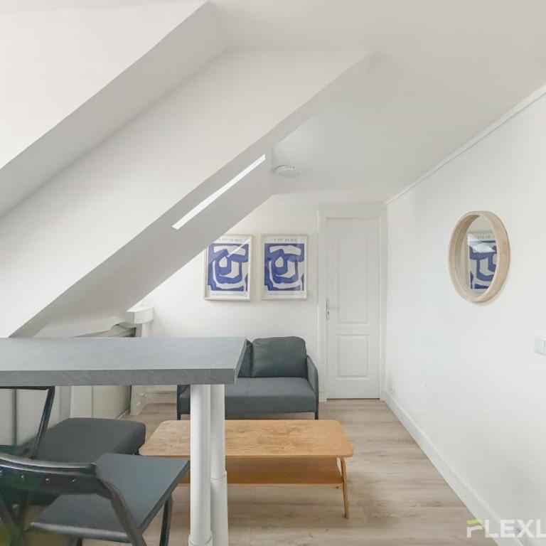 Grand studio confortable et lumineux Paris 10e - Appartement - 3