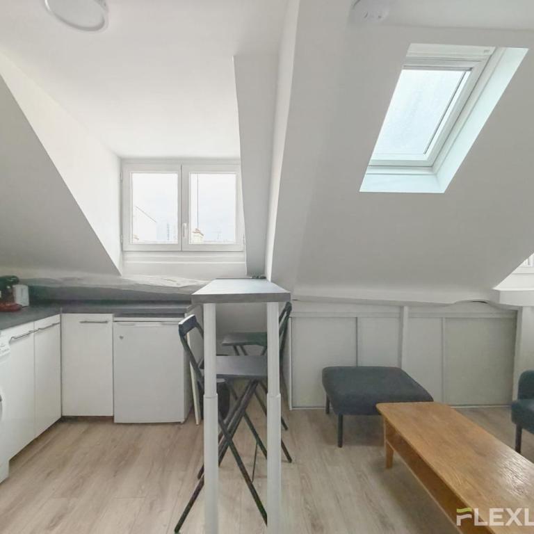 Grand studio confortable et lumineux Paris 10e - Appartement - 5