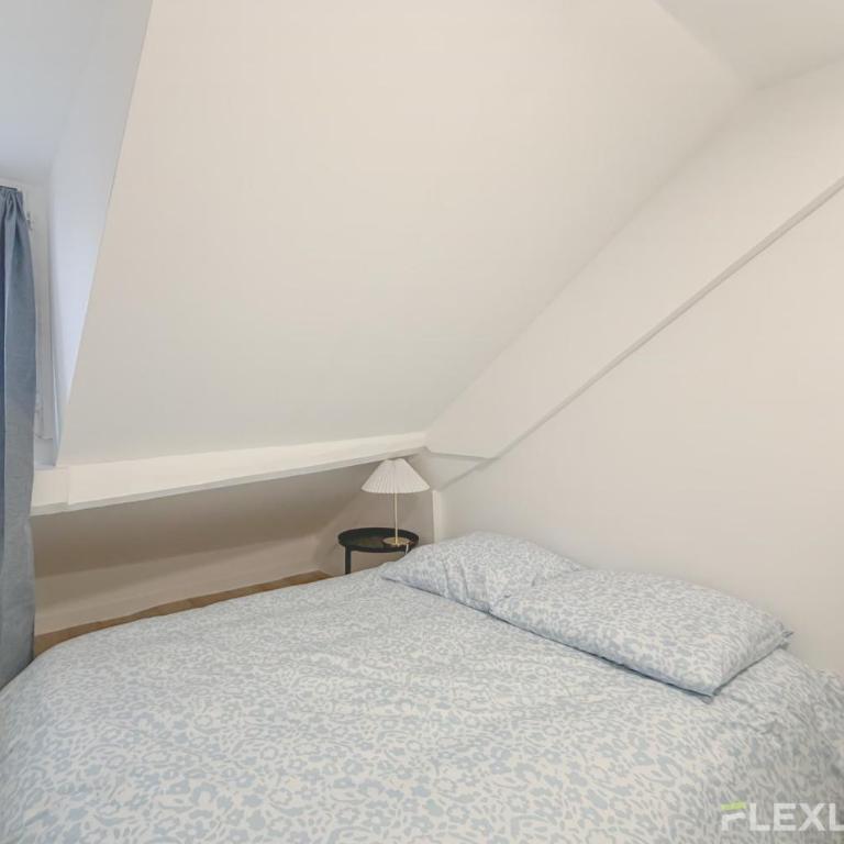 Grand studio confortable et lumineux Paris 10e - Appartement - 11