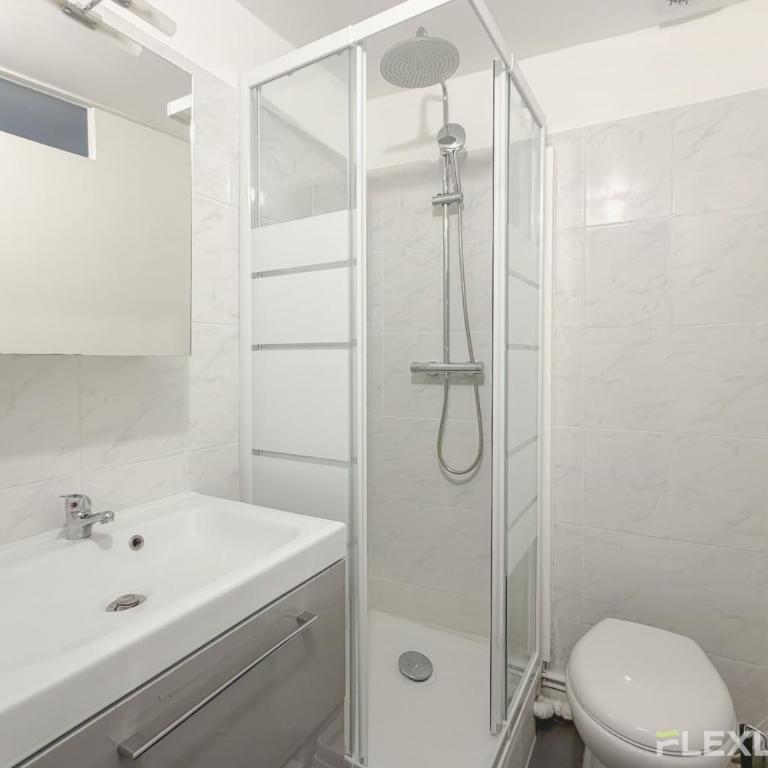 Grand studio confortable et lumineux Paris 10e - Appartement - 13