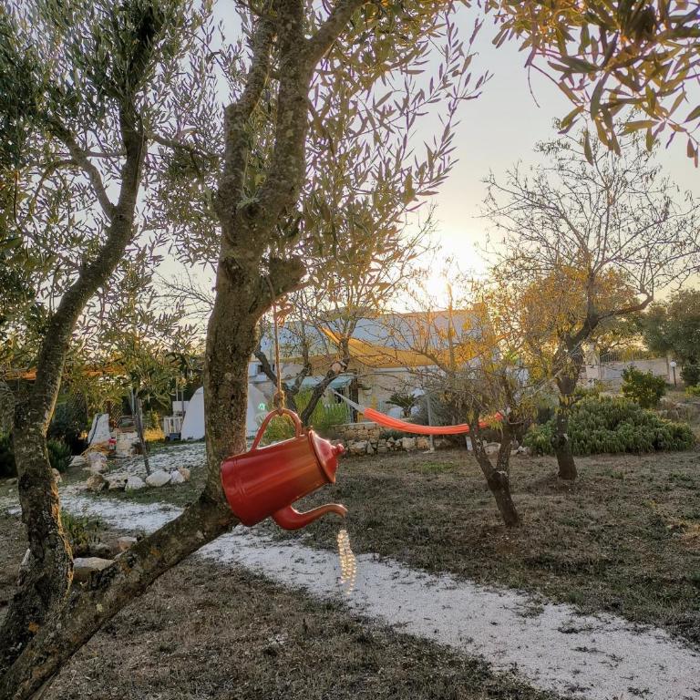 Trullo Serena con uso piscina - Appartamento con 1 Camera da Letto - 3