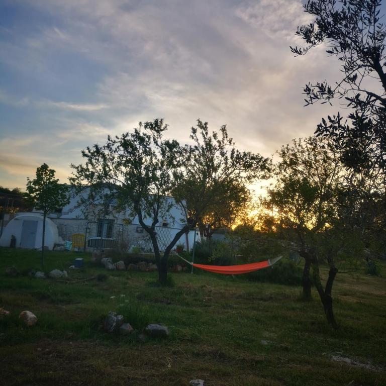 Trullo Serena con uso piscina - Appartamento con 1 Camera da Letto - 18