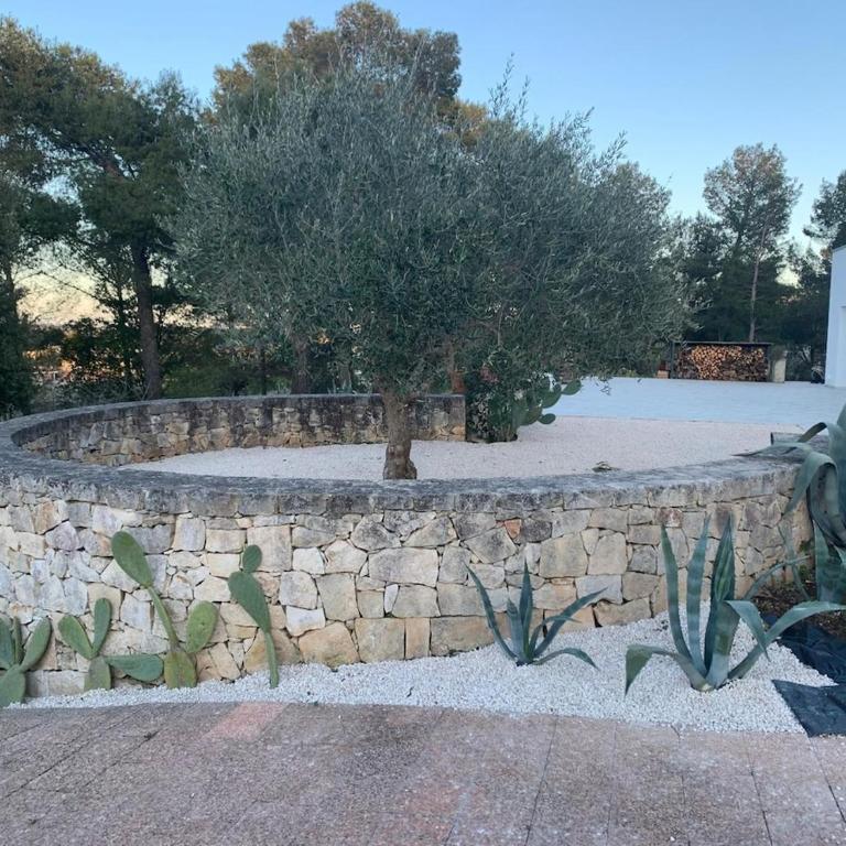 Exclusive Villa Particolare with private pool - Villa - 69