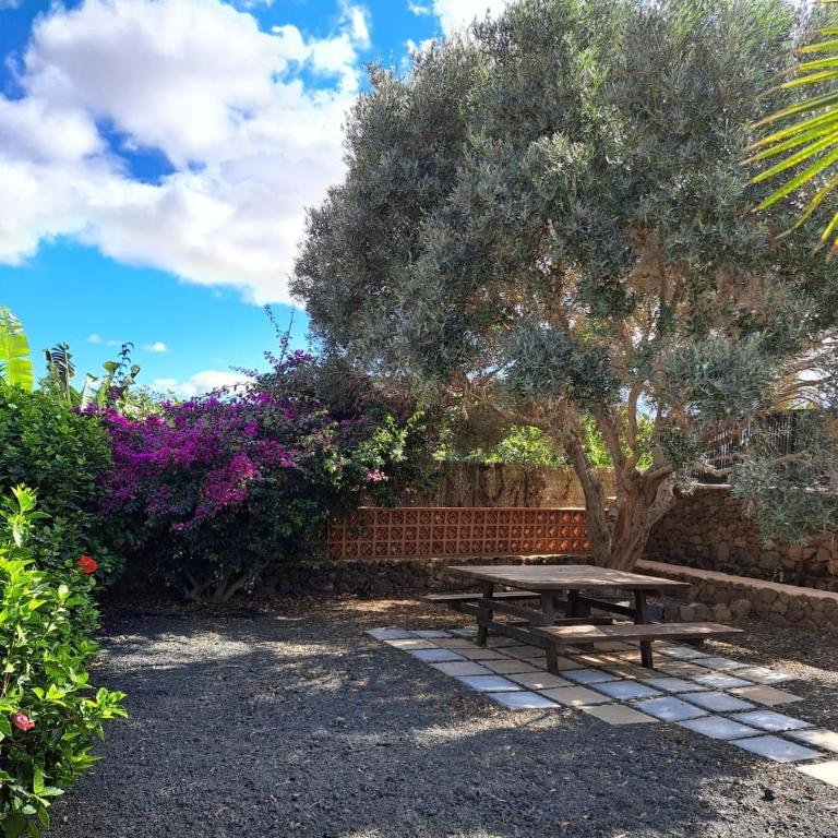 Villa Volcanes, Big House, Gardens Heated Pool - Casa de 4 dormitorios - 47