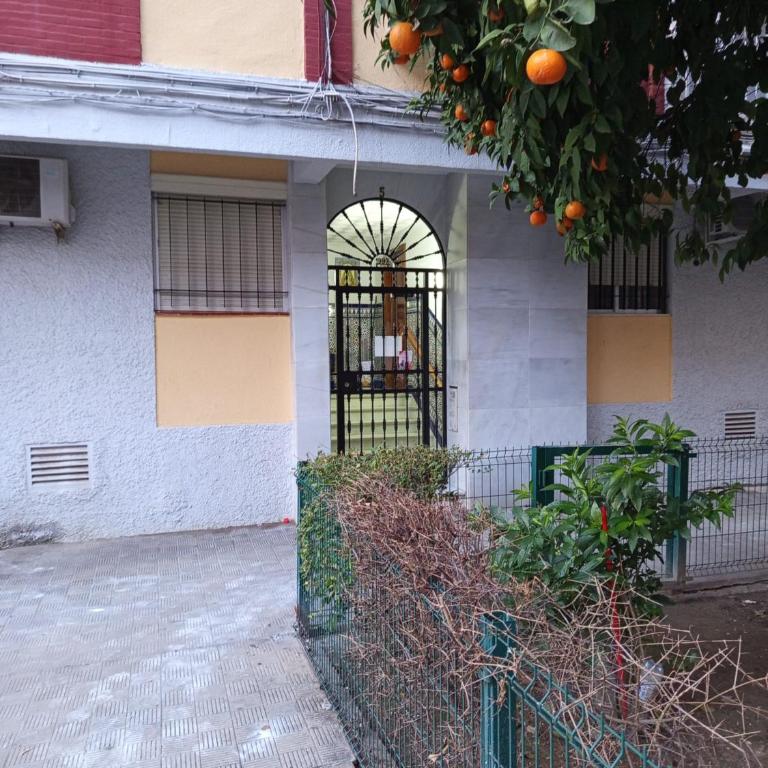 Piso Deluxe Triana - Apartamento de 2 dormitorios - 20