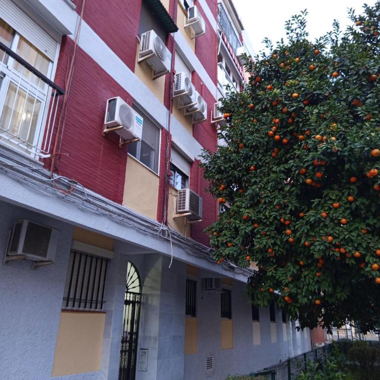 Apartamento Triana Maestro Guerrero - Apartamento de 2 dormitorios - 21