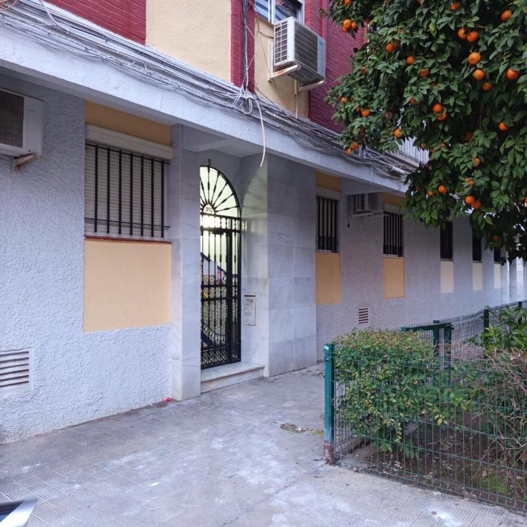 Apartamento Triana Maestro Guerrero - Apartamento de 2 dormitorios - 22