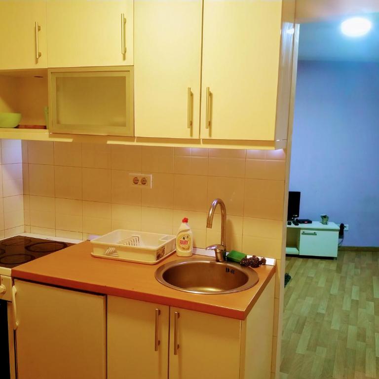 Belgrade Dorcol Apartment - City center - One-Bedroom Apartment - 4