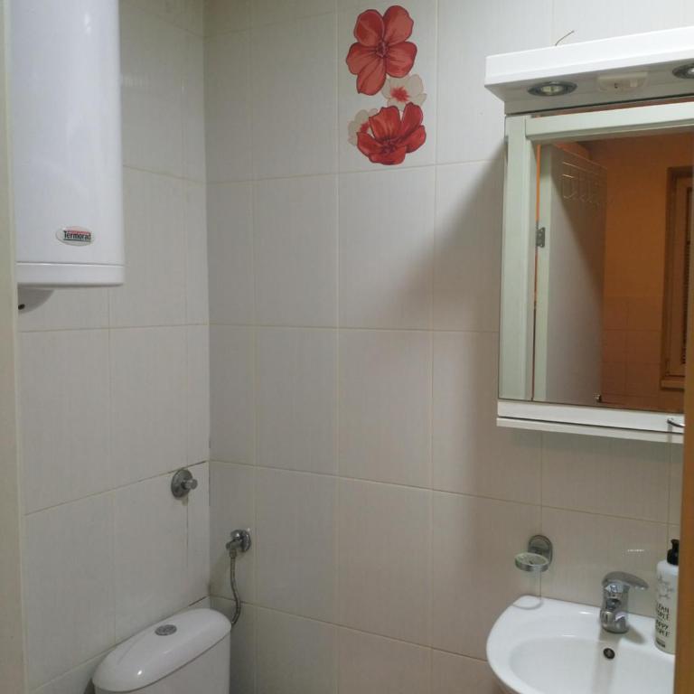 Belgrade Dorcol Apartment - City center - One-Bedroom Apartment - 9