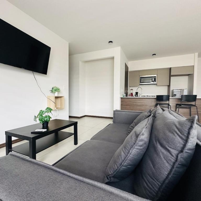 Hermoso Departamento frente a Midtown con Parking - Apartamento de 2 dormitorios - 4