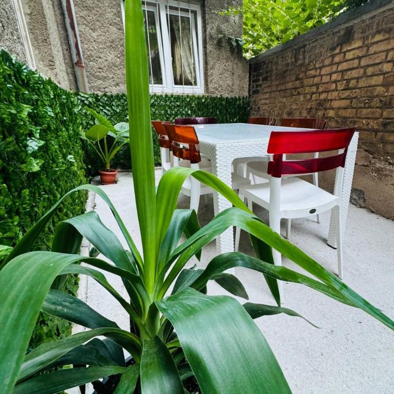 Miss Nareens Central Apartment with free garage - Apartment - 21