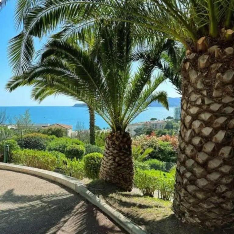 Vue mer piscine parking tennis 4 personnes - Apartment mit 1 Schlafzimmer, Meerblick und Terrasse - 44