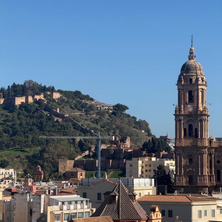 Amazing Tower of Malaga - Apartamento Superior con balcón - 14