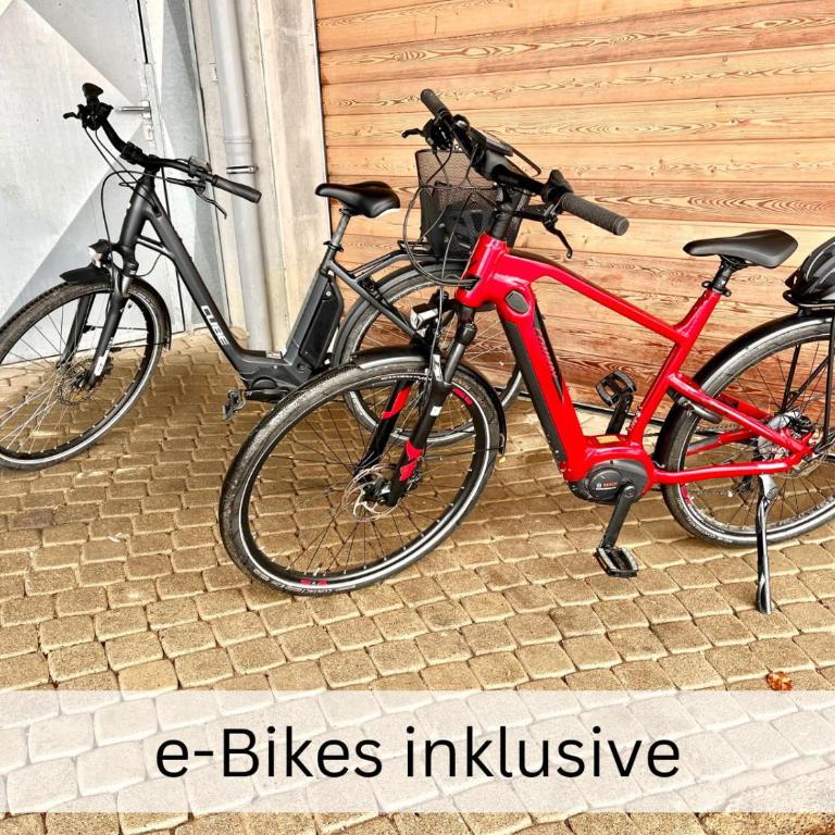 11 BERGFEX Panorama mit e-Bikes, Sommer-Bergbahnticket, Sauna - Apartment mit Blick auf die Berge - 3