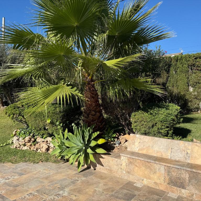 Vora a mar - Villa de 1 dormitorio - 4