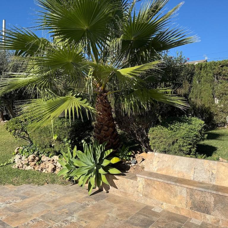Vora a mar - Villa de 1 dormitorio - 16