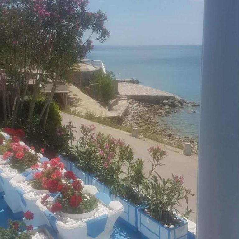 Apartmani Micunovic - Studio - 19