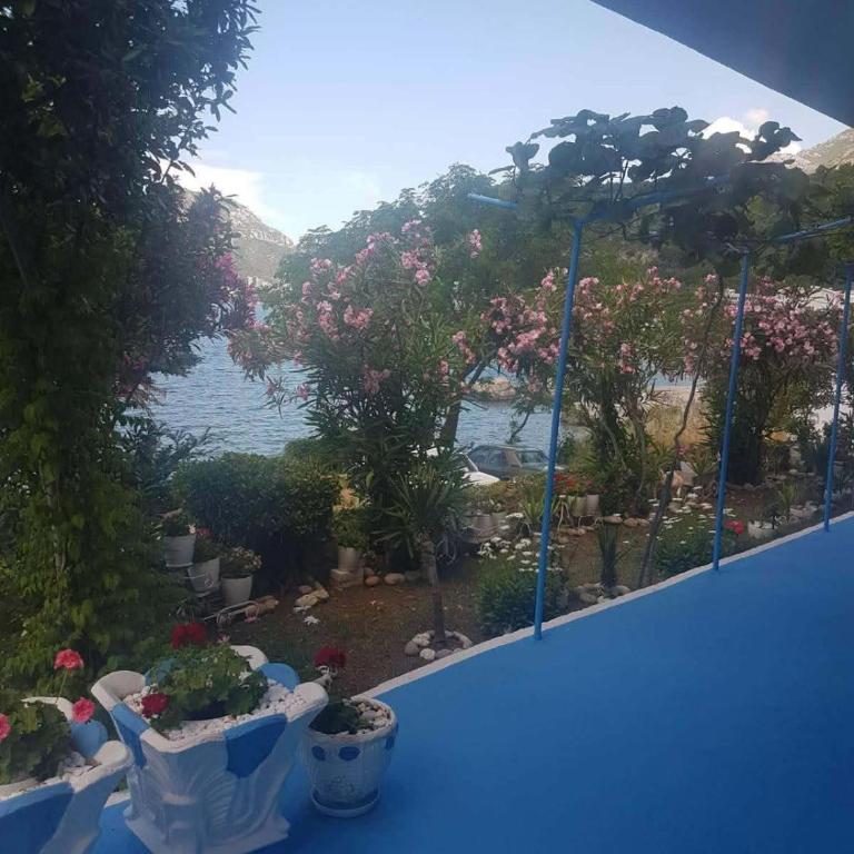 Apartmani Micunovic - Studio - 10