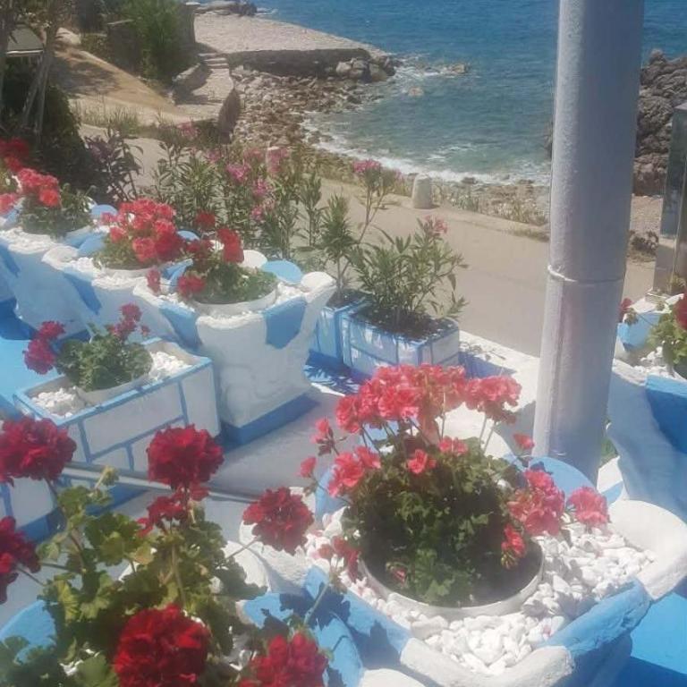 Apartmani Micunovic - Studio - 9